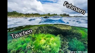 Unter Wasser rund um Fehmarn | 4k