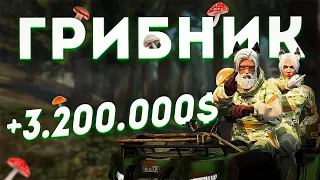 Фарм больше чем на Дальнобойщике! Все о работе Грибника на GTA 5 RP (Majestic)