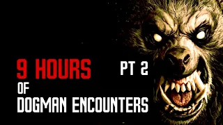 9 HOURS OF DOGMAN ENCOUNTERS PT 2 [ANNIVERSARY SPECIAL] - What Lurks Beneath