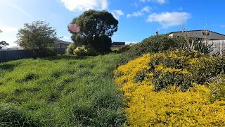 You won't Believe this Overgrown Yard | Crazy Backyard Cleanup