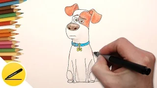 How to Draw a Dog Max (The Secret Life of Pets) | Draw Max step by step