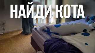 ТЕСТ на ВНИМАТЕЛЬНОСТЬ — Найди ЖИВОТНЫХ на фото! 🐈 БУДЬ В КУРСЕ TV