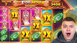 INSANE SET-UP On DOG HOUSE MEGAWAYS!! (HUGE PROFIT)