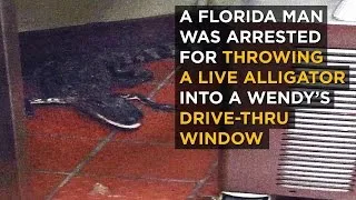 Florida Man Arrested For Throwing Alligator Into Drive-Thru Window