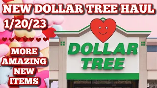 NEW DOLLAR TREE HAUL 🤑 1/20/23. AMAZING NEW ITEMS