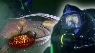 The Biggest Octopus Jeremy Has Encountered | River Monsters