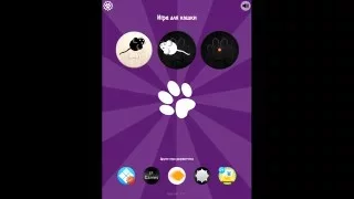 Игра для кошки на Ipad/Iphone