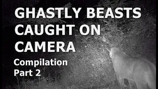 GHASTLY BEASTS CAUGHT ON CAMERA - Compilation Part 2