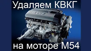 Удаляем КВКГ на моторе BMW M54.