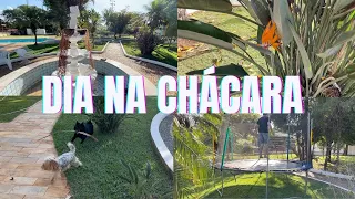 PASSAMOS O DIA NA CHÁCARA COM OS DOGS | Luh Sicchierolli