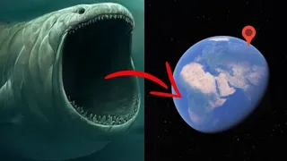 All sea monster size comparison on Google Earth 🌎