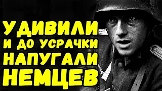 Чем пограничники удивили немцев 22 июня 1941 года | Письма с фронта