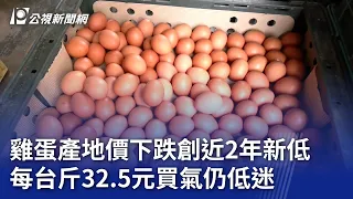 雞蛋產地價下跌創近2年新低 每台斤32.5元買氣仍低迷｜20240529 公視晚間新聞