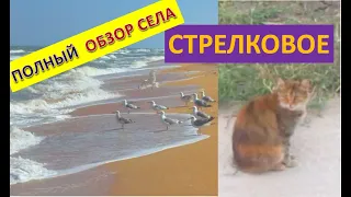 Арабатская стрелка, Стрелковое 2021