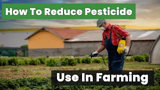 How to Reduce Pesticide Use in Farming: What Every Farmer Should Know