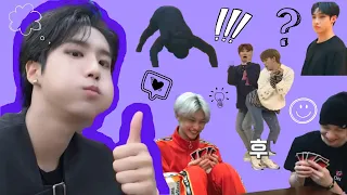 momentos de skz que vuelve a cualquiera en Stay