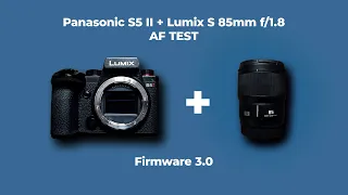 Panasonic S5 II - Firmware 3.0 - AF TEST - Lumix S 85mm f/1.8