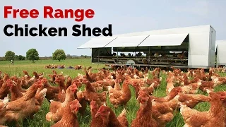 Free Range Chicken Shed