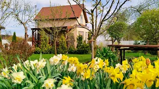 Маленький Дом 🏠 Сад. Уютная Жизнь за городом. Рецепт Котлет #дом #garden #декор