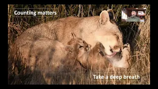 Mark Elbroch - TALK on the Rock lecture, "Counting Cougars at Opposite Ends of the World”