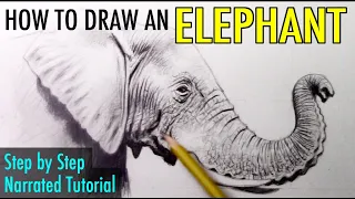 How to Draw an Elephant