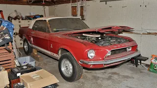 1968 Shelby Mustang GT350 CONVERTIBLE sitting for decades?!?