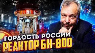 ГОРДОСТЬ России: Реактор БН-800. Первая в мире АЭС на МОКС-топливе