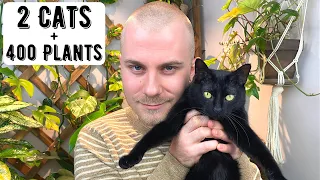 How Do I Have Two Cats AND 400+ Houseplants??? | Cats & Plants 101