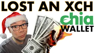 How to Lose XCH Chia Wallet 2021