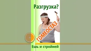 Разгрузочные дни для ПОХУДЕНИЯ блокирует Природный Гомеостаз. Как похудеть?