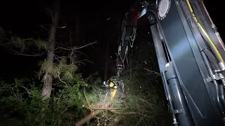 Rotobec Limb Reaper removing standing trees