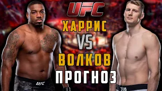 UFC 254: Александр Волков vs Уолт Харрис прогноз / прогноз на UFC 254 / прямая трансляция UFC 254