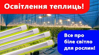 Освітлення в теплиці, від натрієвих ламп до правильного вибору білого світла та світлодіодів.