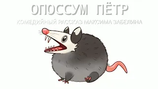 Опоссум Пётр