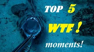 😲TOP 5 WTF moments📹CAUGHT on VIDEO