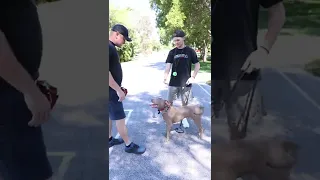 How to Stop Your Dog from Jumping on People