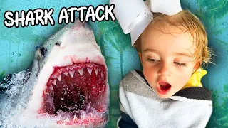 A SHARK ALMOST ATTACKED OUR 2 YEAR OLD