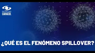 Alerta de la OMS por otra posible pandemia, incluso más peligrosa que el COVID