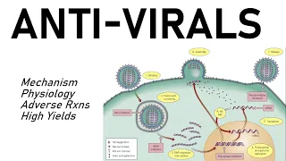 Antiviral Pharmacology