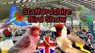 Staffordshire Bird Show 2023 ┃ BCCC