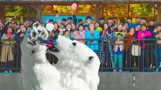 Зоопарк Использует Сотрудников В Качестве "Поддельных" Животных, Чтобы Обмануть Посетителей