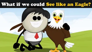 What if we could See like an Eagle? + more videos | #aumsum #kids #children #education #whatif