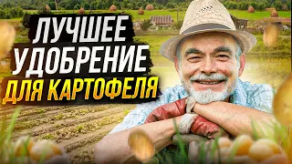 Как выбрать лучшее удобрение для картофеля?