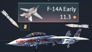 Top tier F-14A Tomcat experience
