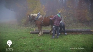 Jura, terre de bois : C'est là ! en Bourgogne-Franche-Comté