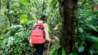 Hiking to Isla Escondida in Putumayo