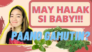 PAANO MAWALA ANG HALAK, MABISANG GAMOT/ HERBAL MEDICINE Mom Jacq