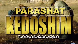 PARASHAT KEDOSHIM - Roeh Dr. Javier Palacios Celorio