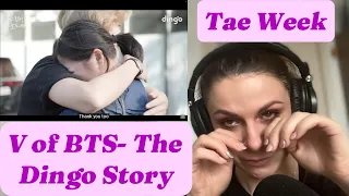 Reacting to V of BTS- The Dingo Story