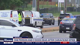 1 person, 2 dogs dead after crime spree